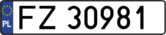 FZ30981