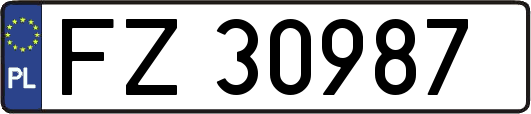 FZ30987