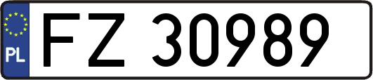 FZ30989