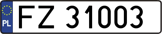 FZ31003
