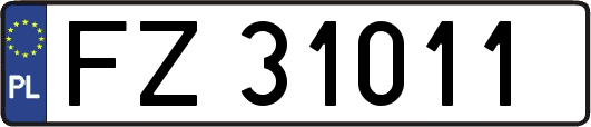FZ31011