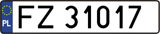 FZ31017