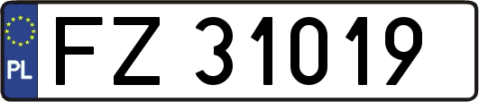 FZ31019