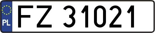 FZ31021