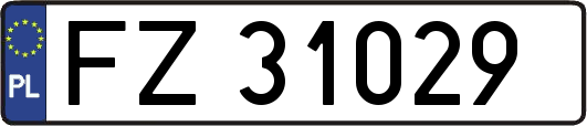 FZ31029