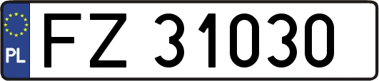 FZ31030