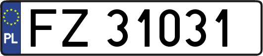 FZ31031