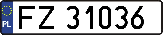 FZ31036