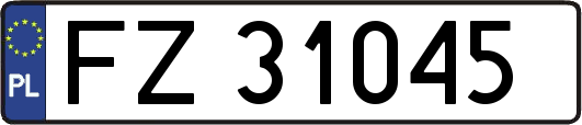 FZ31045