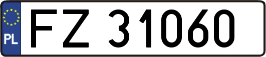 FZ31060