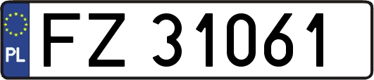 FZ31061