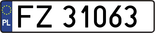 FZ31063