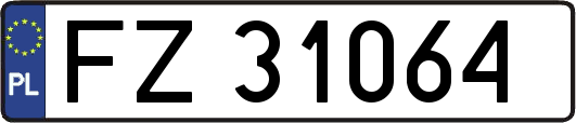 FZ31064