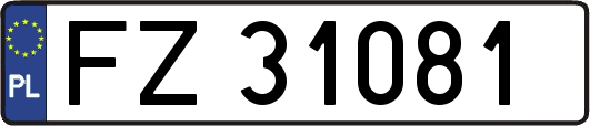 FZ31081