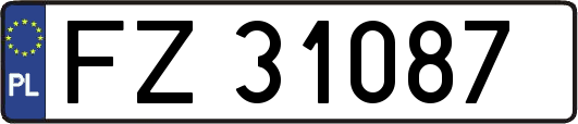 FZ31087