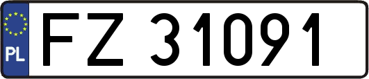 FZ31091