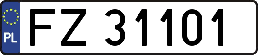 FZ31101