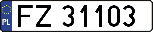 FZ31103
