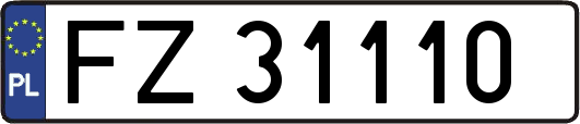 FZ31110