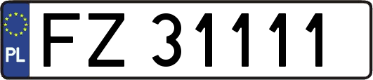 FZ31111