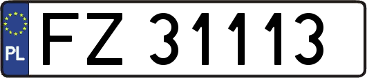 FZ31113
