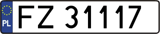 FZ31117
