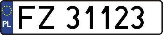 FZ31123