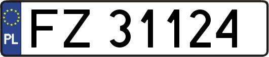 FZ31124