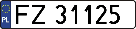 FZ31125