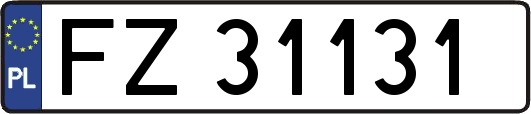 FZ31131