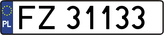 FZ31133
