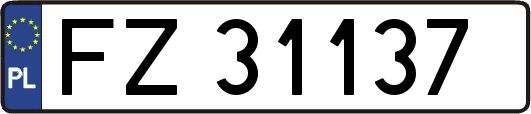 FZ31137