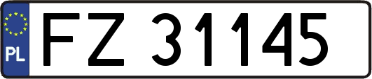 FZ31145