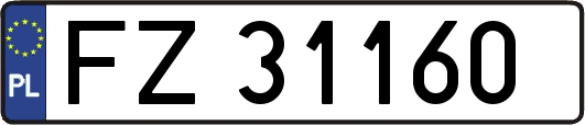 FZ31160