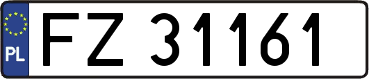 FZ31161