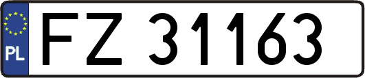 FZ31163