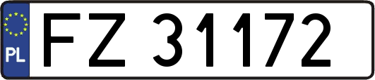 FZ31172