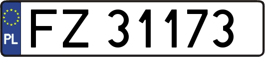 FZ31173