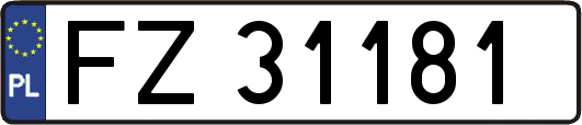 FZ31181