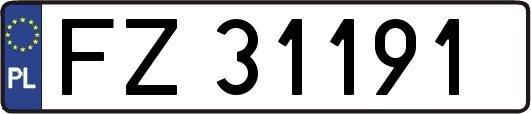 FZ31191