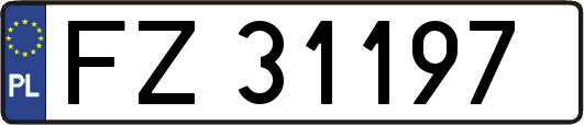 FZ31197