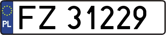 FZ31229