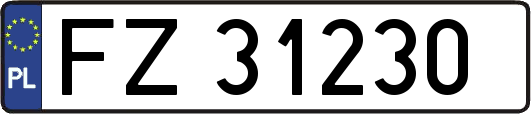 FZ31230