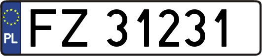 FZ31231