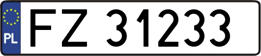FZ31233