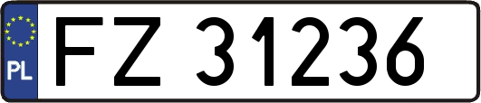 FZ31236