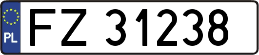 FZ31238