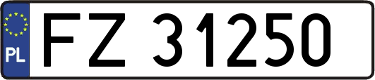 FZ31250
