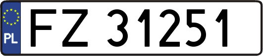 FZ31251