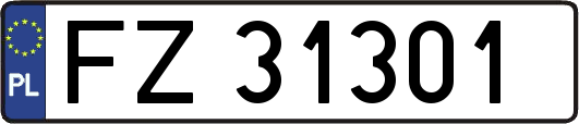 FZ31301